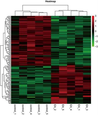 Transcriptomic Analysis of Rat Cerebral Cortex Reveals the Potential Mechanism of Electroacupuncture Opening Blood Brain Barrier